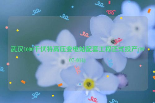 武汉1000千伏特高压变电站配套工程正式投产(9907-014)