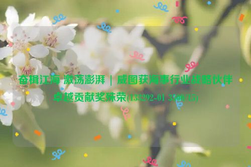 奋楫江海 激荡澎湃 | 威图获海事行业战略伙伴卓越贡献奖殊荣(133292-01 3500/15)